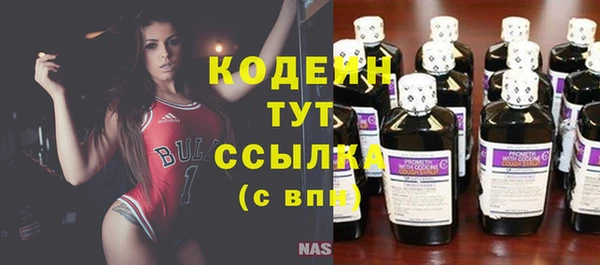 прущие грибы Богородск
