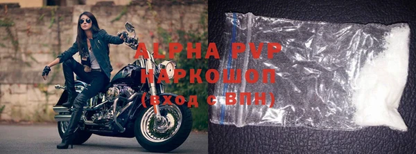 сатива Новозыбков