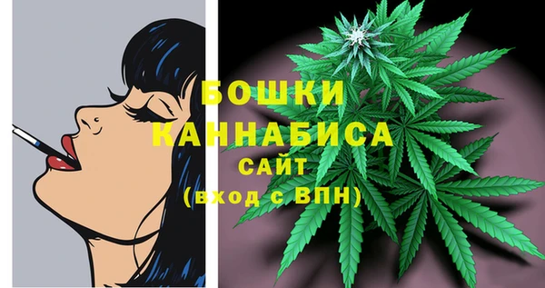 бошки Новодвинск