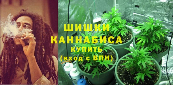 гашик Белокуриха
