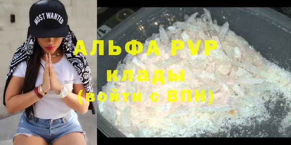 гашик Белокуриха