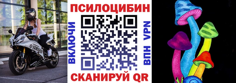 где купить наркоту  omg ссылки  Псилоцибиновые грибы Psilocybe  Горнозаводск 